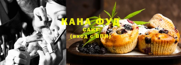 индика Вяземский