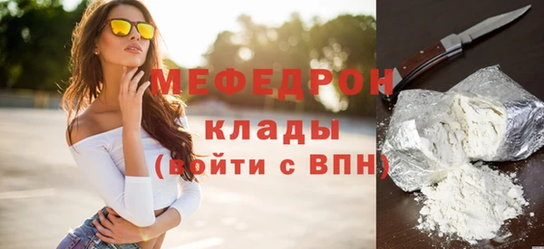 индика Вяземский