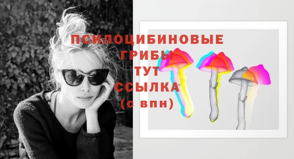 Альфа ПВП Вязьма