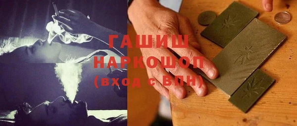 индика Вяземский