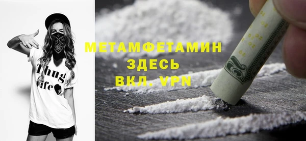 индика Вяземский