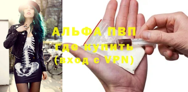 индика Вяземский