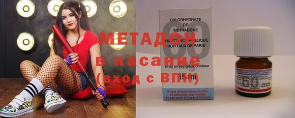 индика Вяземский