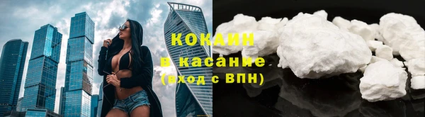 индика Вяземский