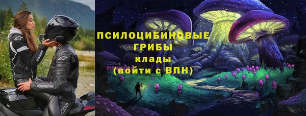 Альфа ПВП Вязьма
