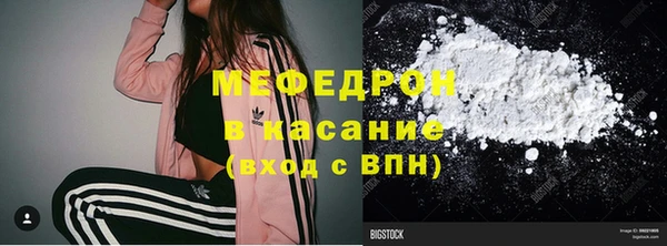 индика Вяземский