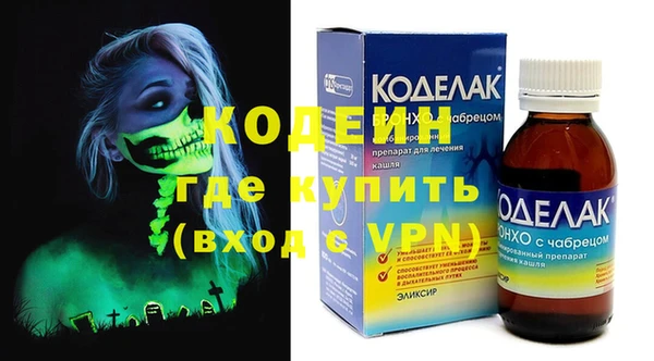 индика Вяземский