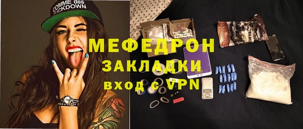 индика Вяземский