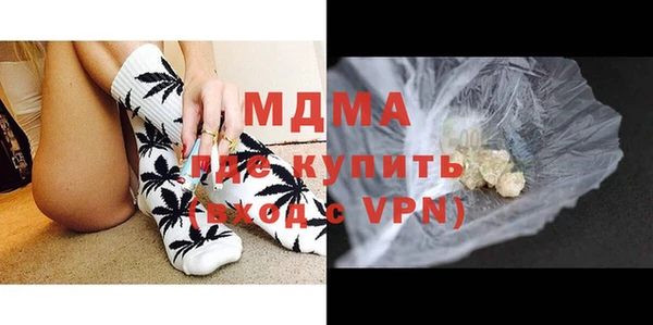 индика Вяземский