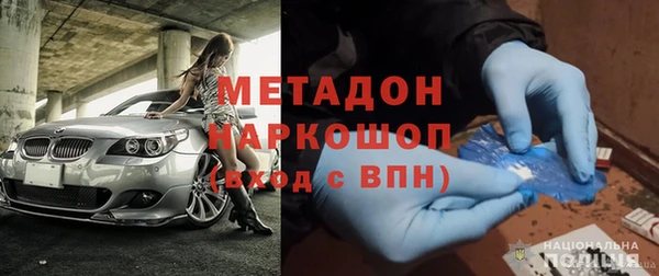 индика Вяземский