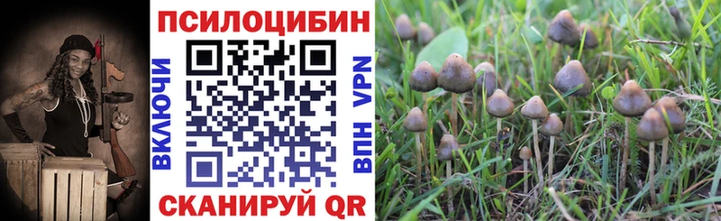 Купить  Балахна  Псилоцибиновые грибы мухоморы 